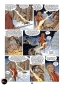 Preview: Alwilda 2