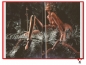 Preview: Art Fantastix: The Art of Walter Girotto