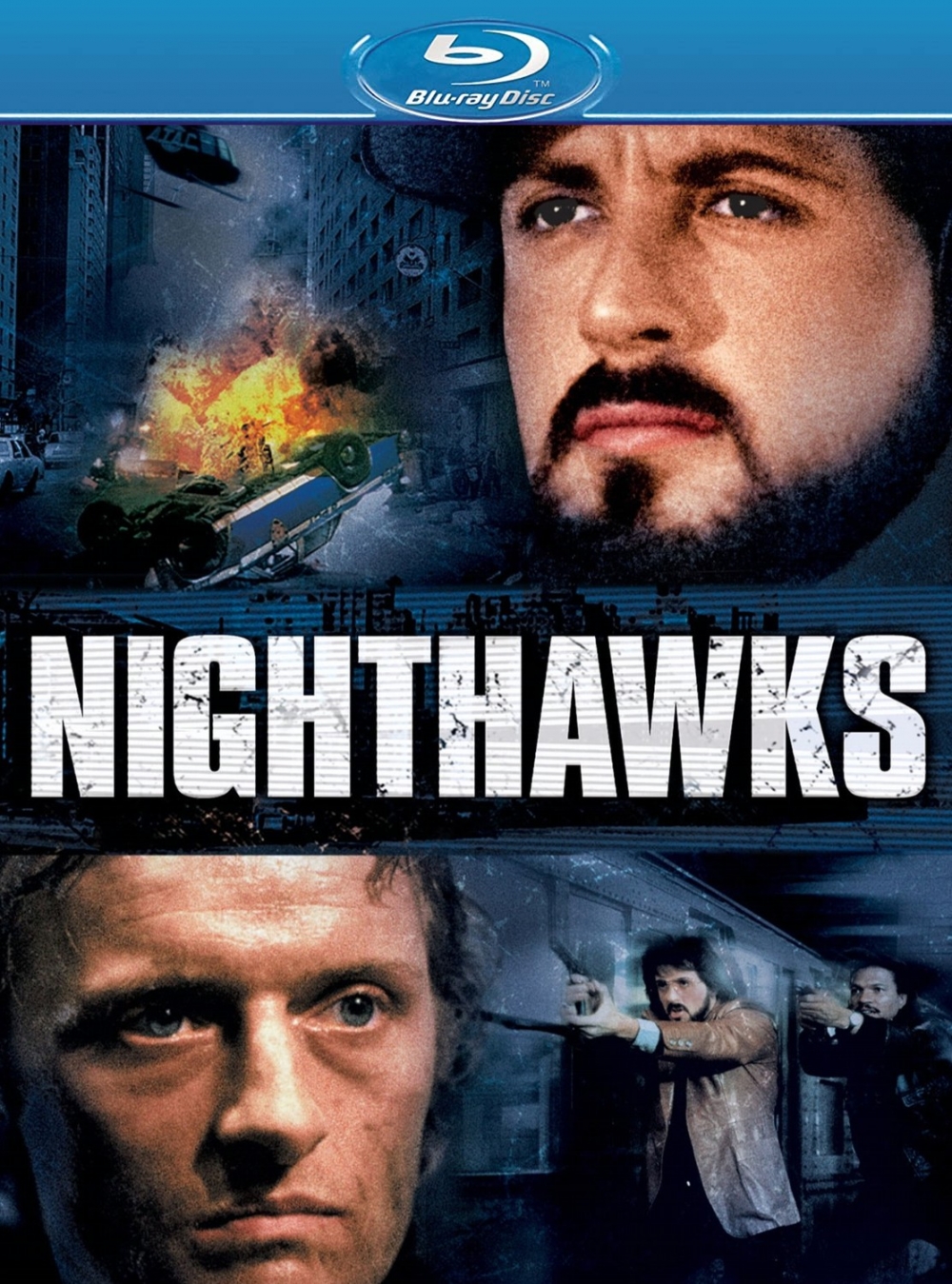 Nachtfalken