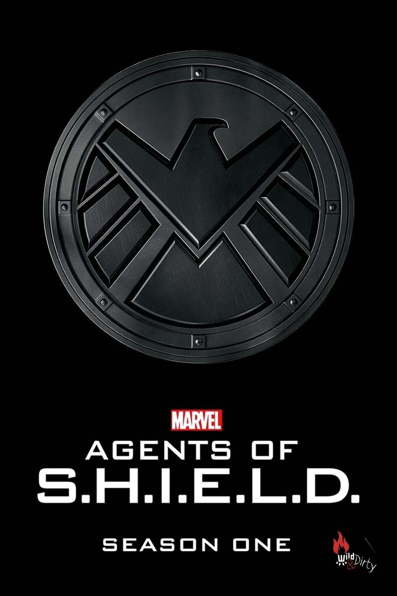 Marvel's Agents of S.H.I.E.L.D. - Staffel Eins