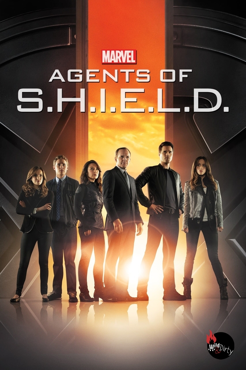 Marvel's Agents of S.H.I.E.L.D. - Staffel Eins
