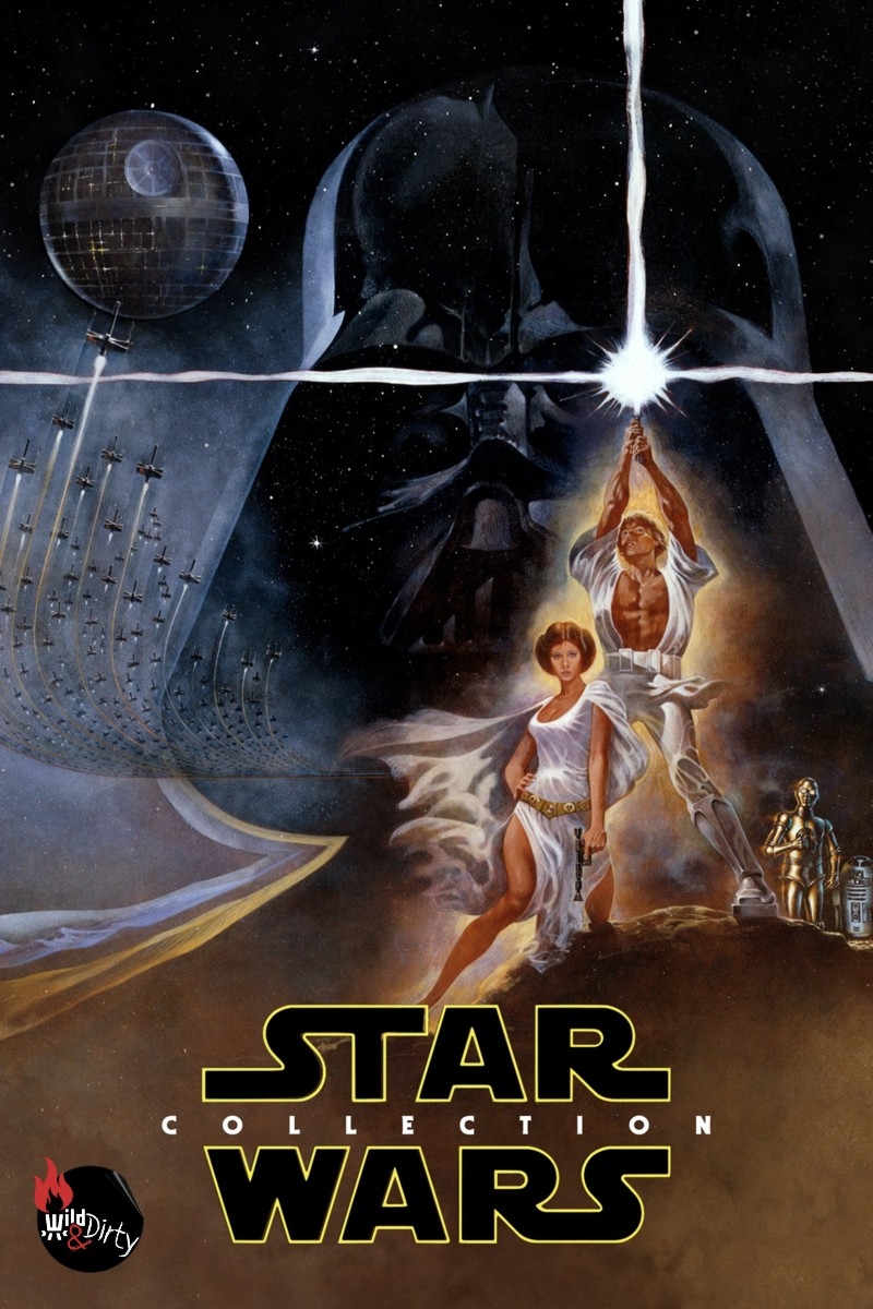 Star Wars: Die Skywalker Saga (27 Discs)